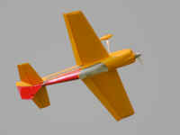 cuda_dogs_044.jpg (32626 bytes)